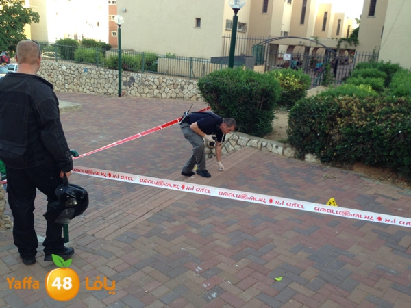 ta3nn601bayara (1).JPG